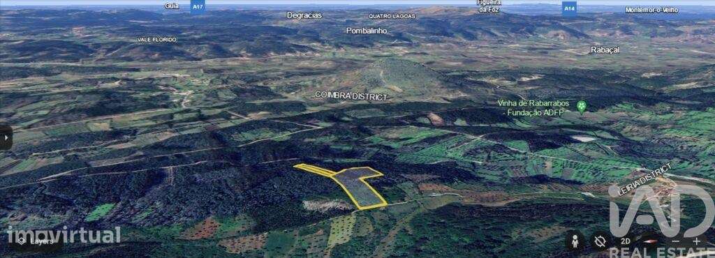 Terreno Agrícola em Alvorge de 7090,00 m2 - Grande imagem: 4/9