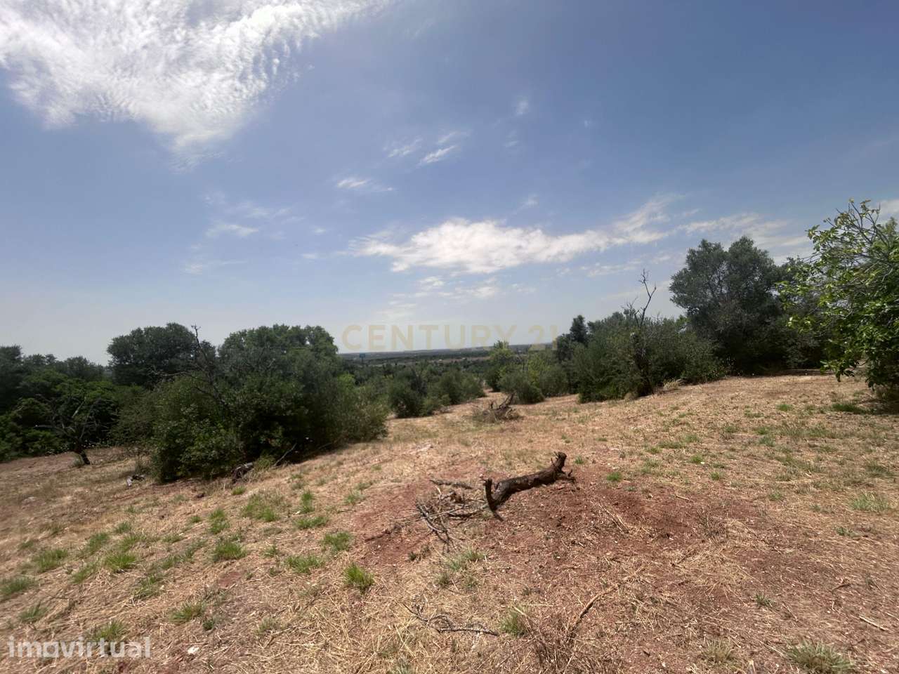Exclusivo Terreno com 6.320m² em Silves – Natureza, Privacidade e Pote - Grande imagem: 3/59