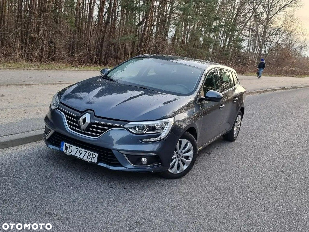 Renault Megane 1.3 TCe FAP Business - 13