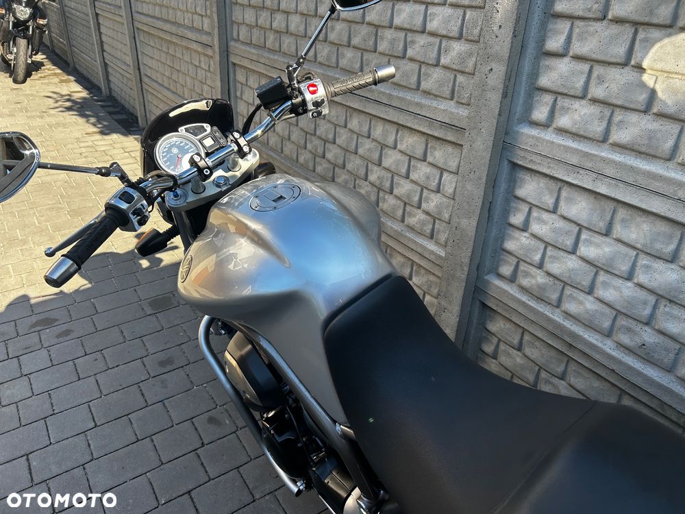 Yamaha Bulldog - 23