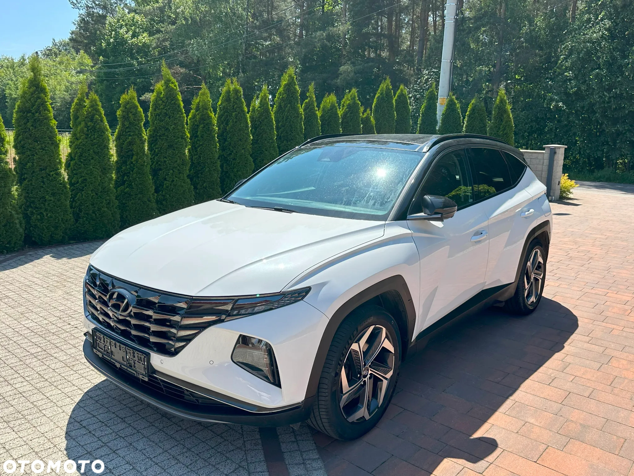 Hyundai Tucson 1.6 CRDi 48V-Hybrid 2WD DCT Prime - 19