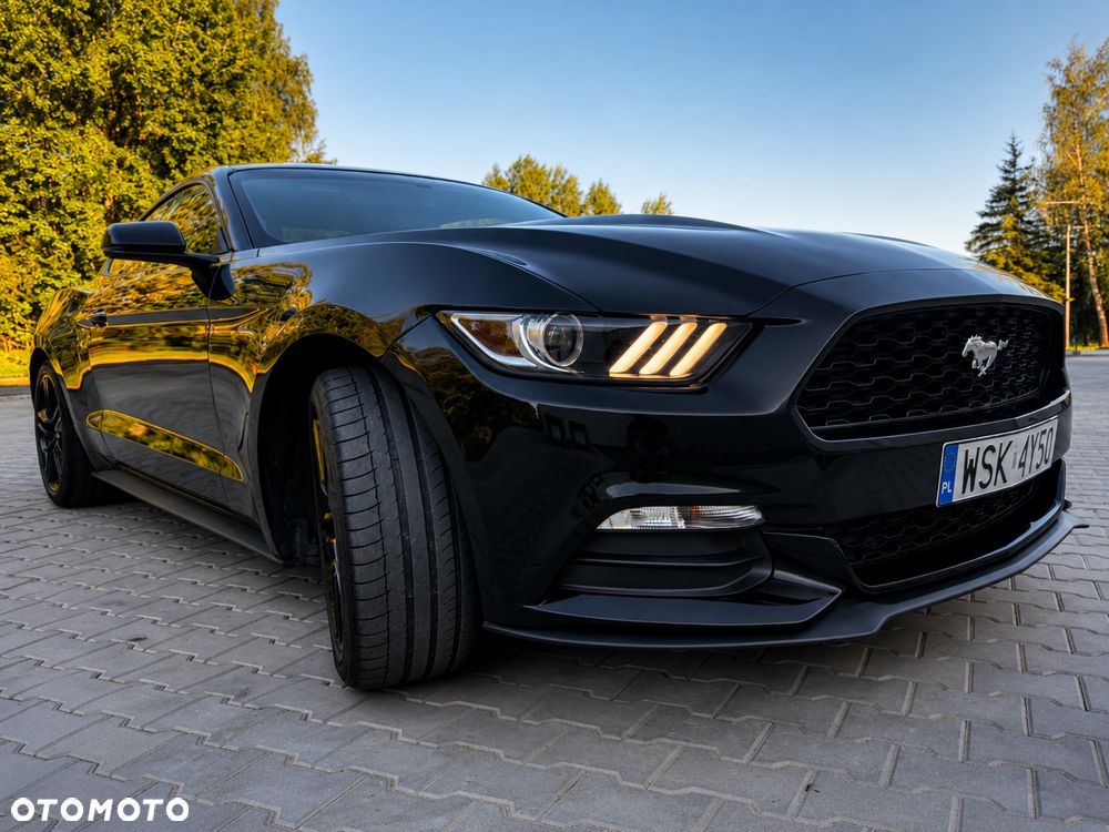 Ford Mustang - 14