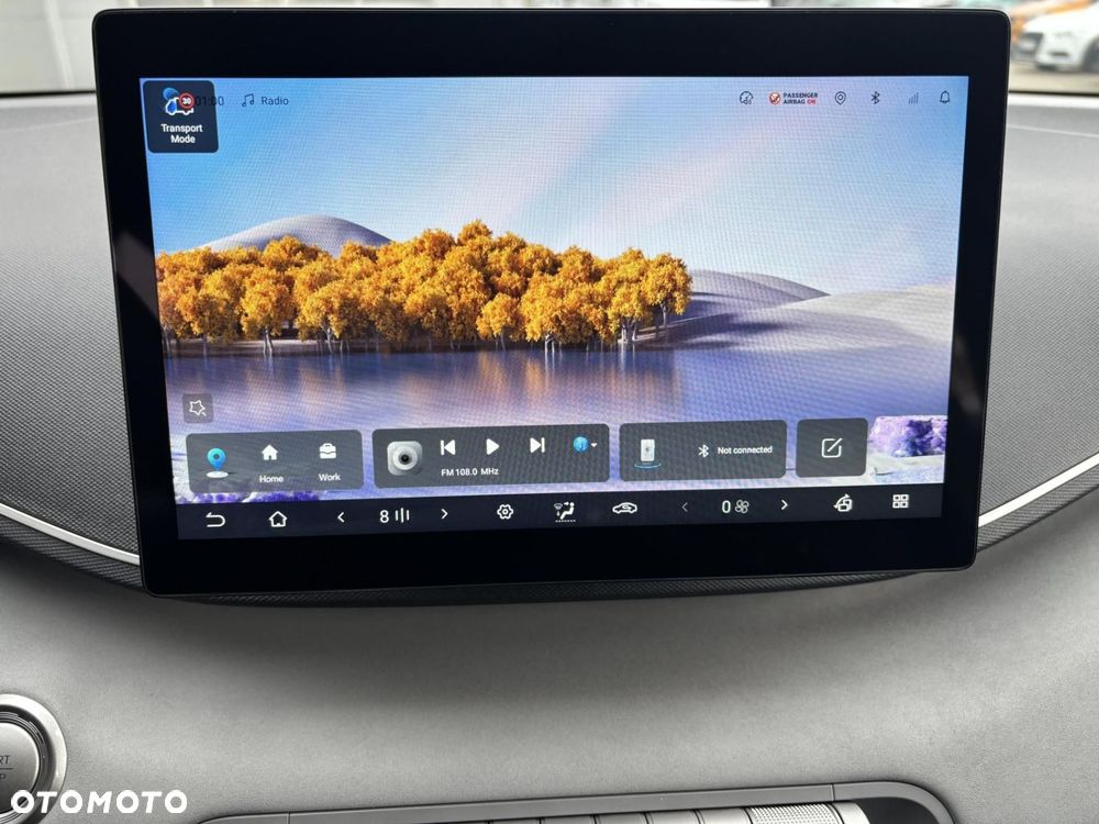 BYD Dolphin Surf - 17