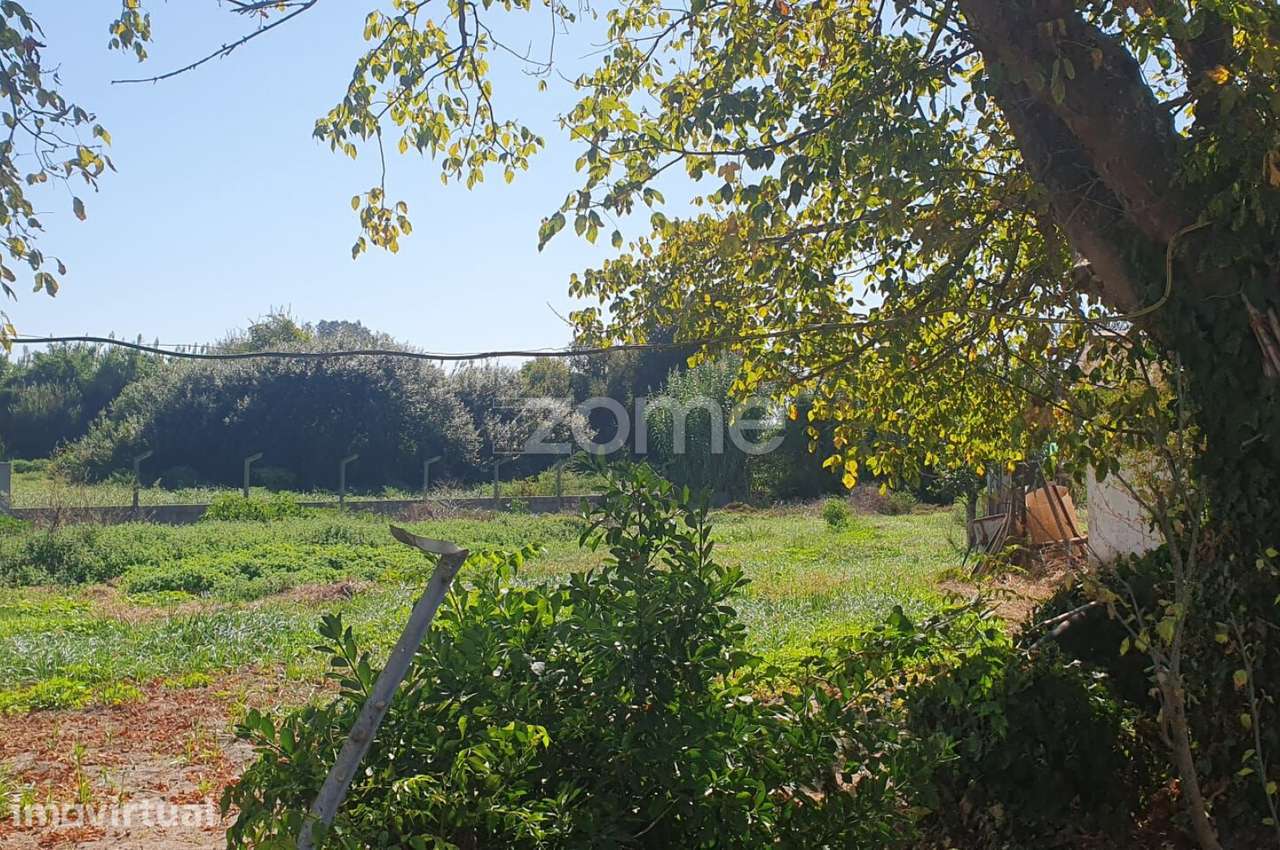 Quinta em Olhos de Água - Grande imagem: 4/15