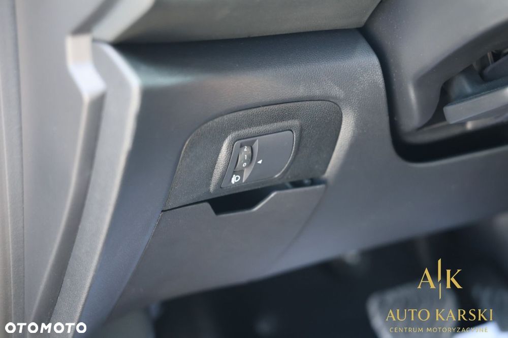 Renault Scenic - 19