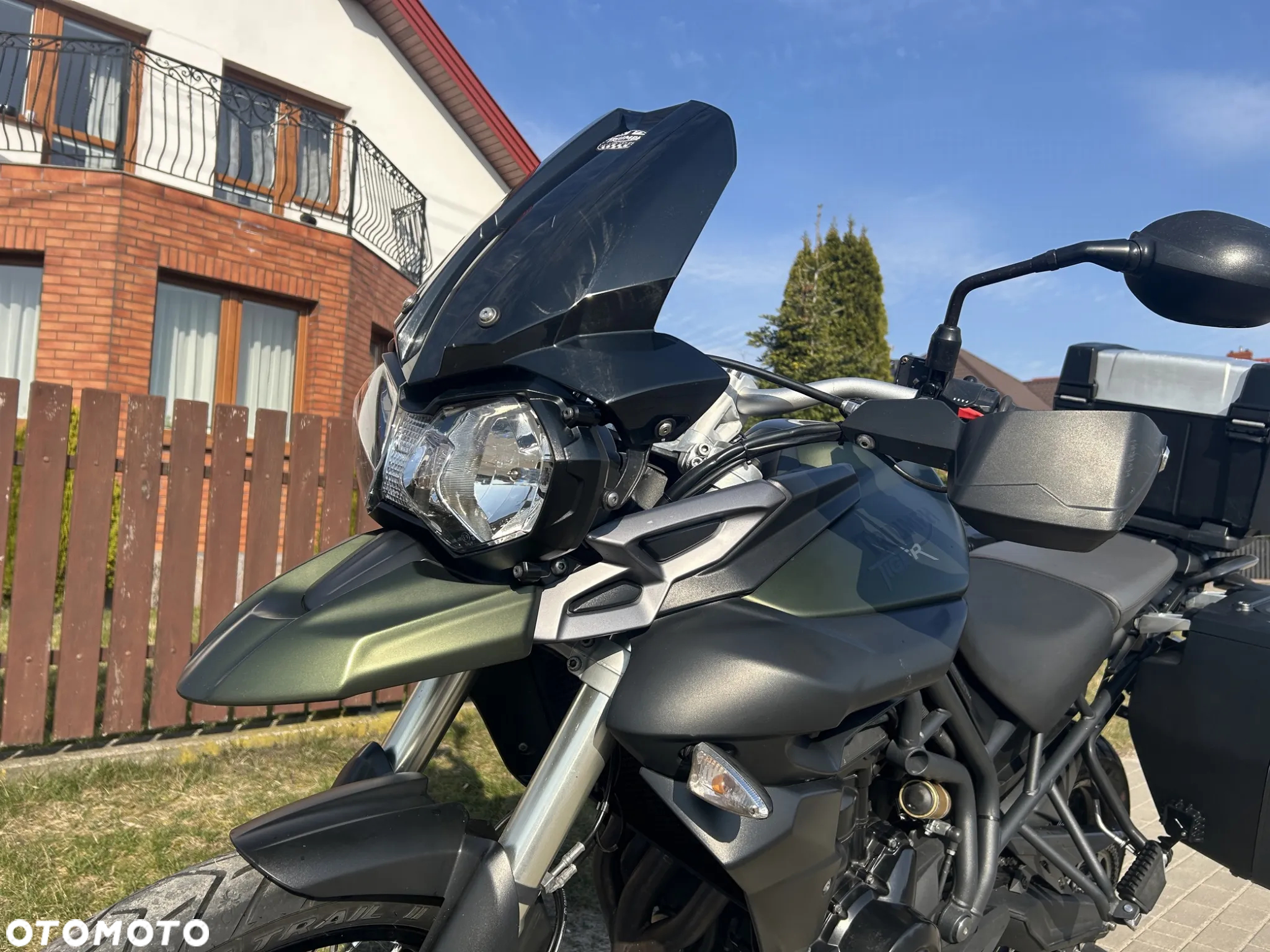 Triumph Tiger - 11