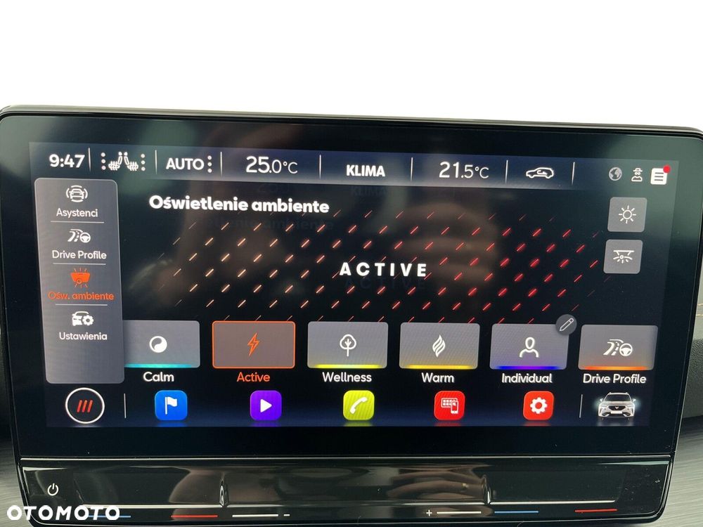 Cupra Formentor 2.0 TSI 4Drive VZ DSG - 37
