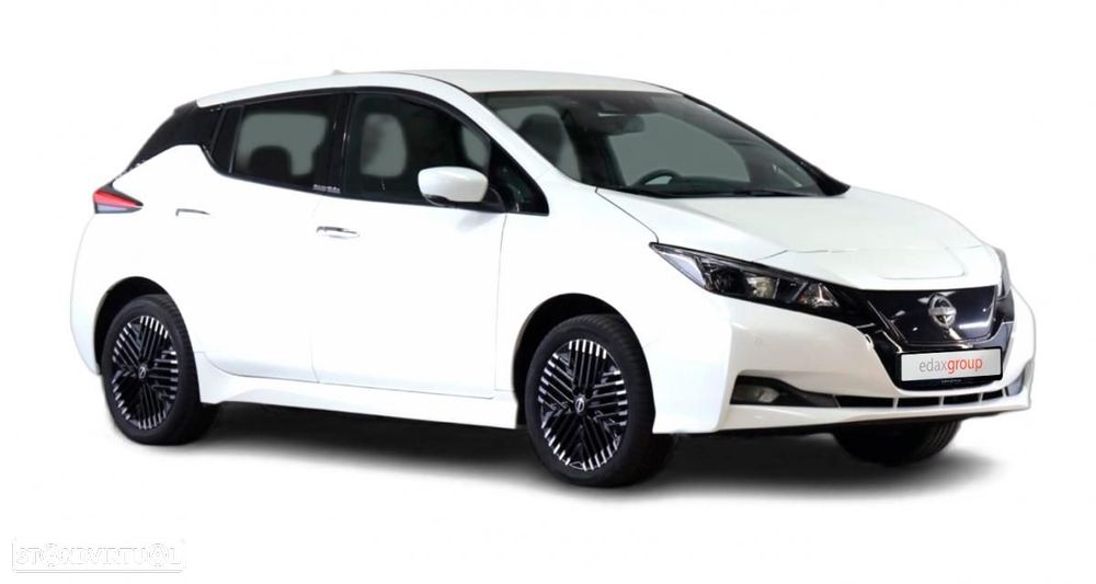 Nissan Leaf e+ Acenta - 1