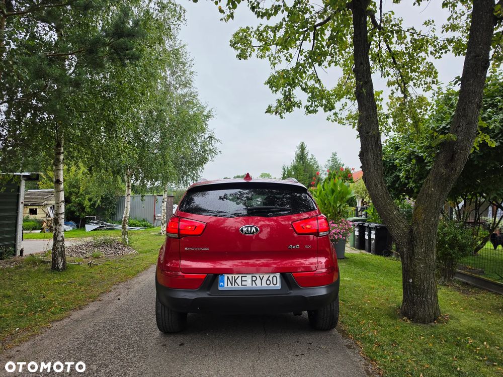 Kia Sportage - 29