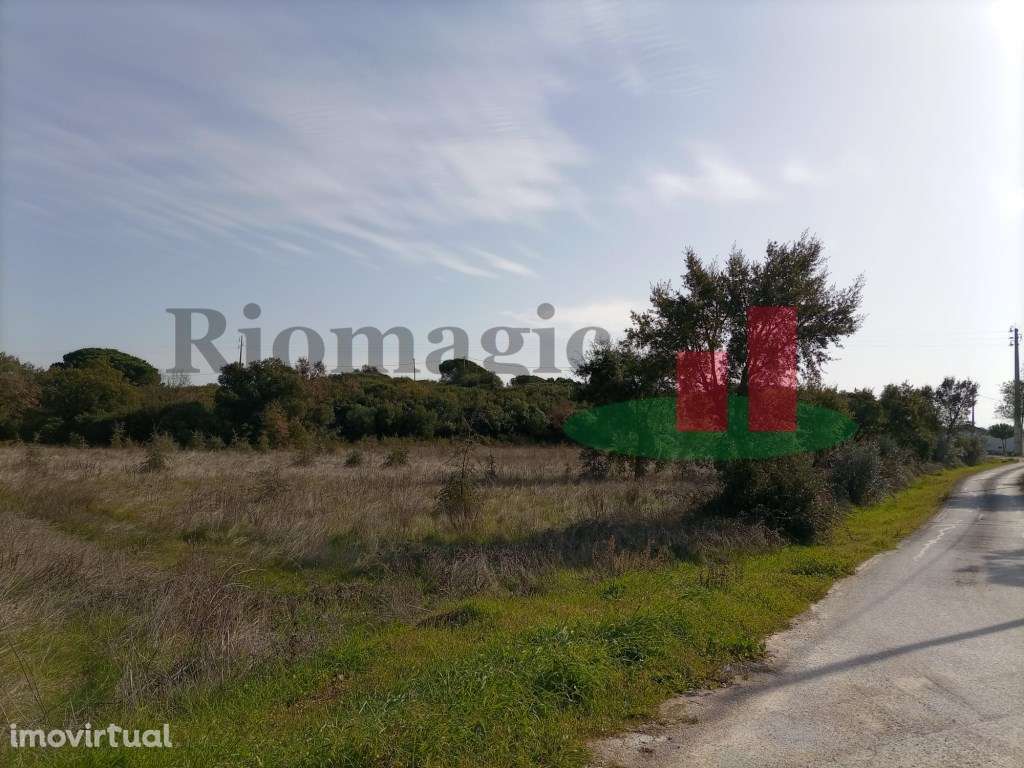 Terreno Almoster***RIOMAGIC*** - Grande imagem: 4/29