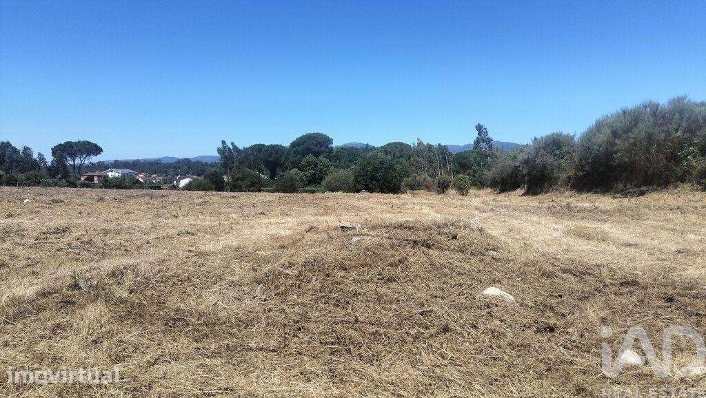 Terreno para construção em Canas de Santa Maria - Grande imagem: 5/40