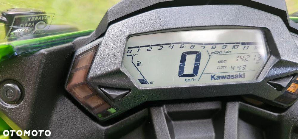 Kawasaki Ninja - 14