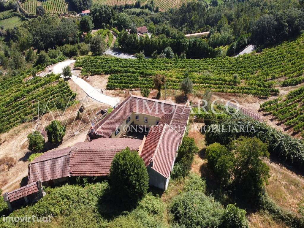 Vila Nune, CRUJEIRA - Grande imagem: 4/30