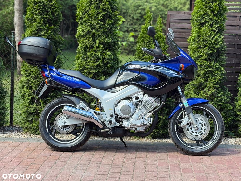 Yamaha TDM - 3