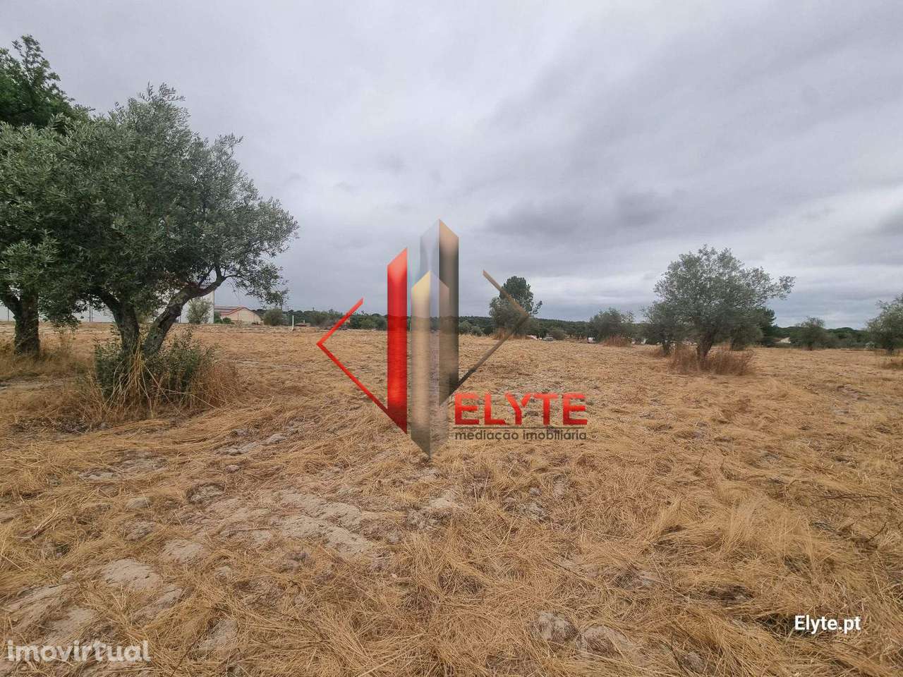 Terreno urbanizável na Branca – Coruche - Grande imagem: 2/23