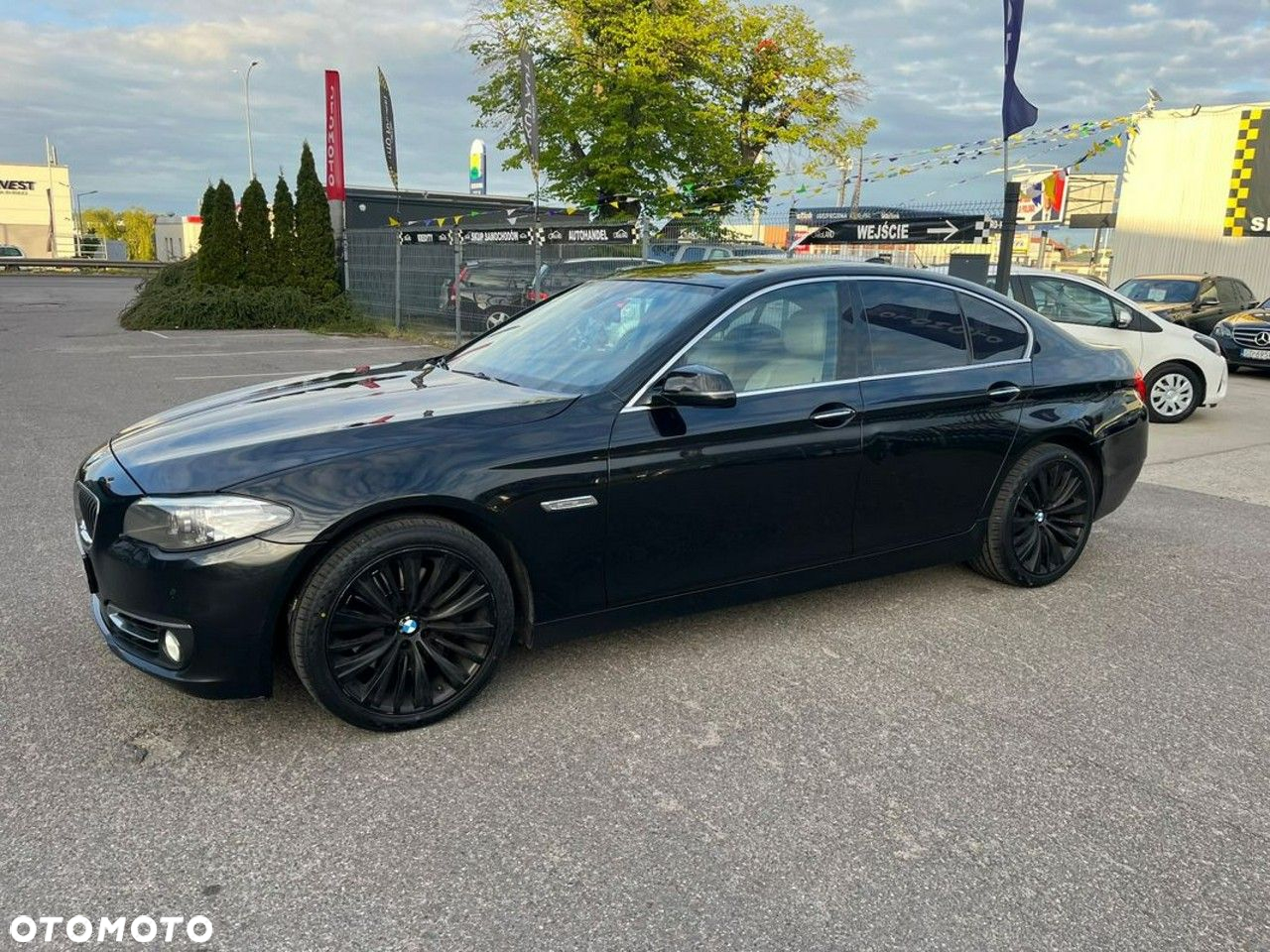 BMW Seria 5 525d xDrive Luxury Line - 22