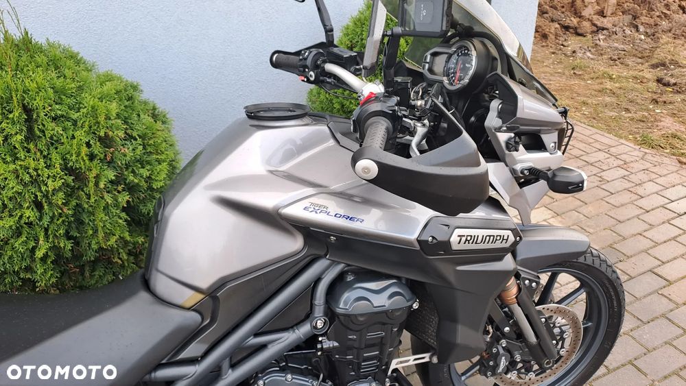 Triumph Tiger - 20