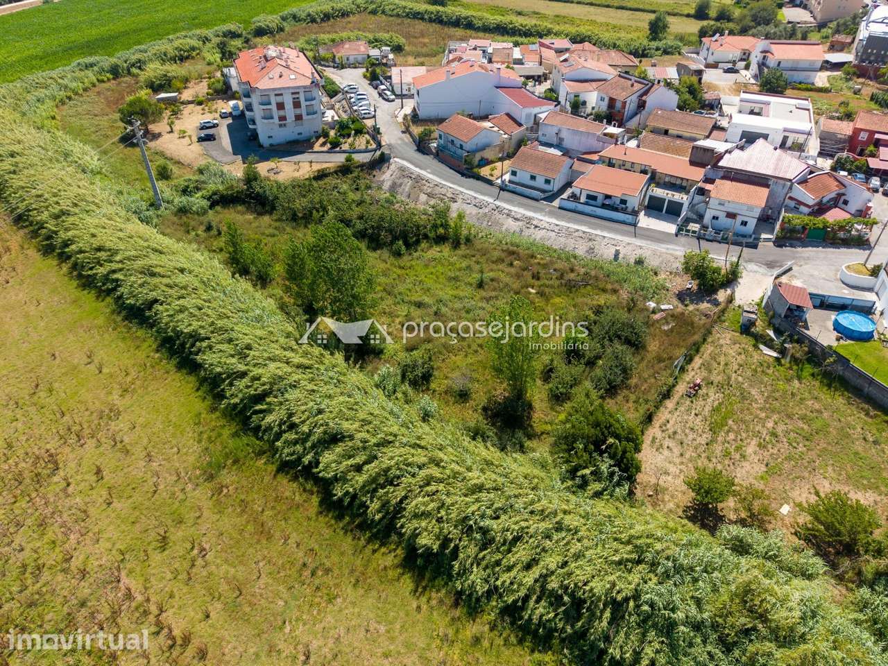 Terreno com 3.841m2 - Grande imagem: 5/14