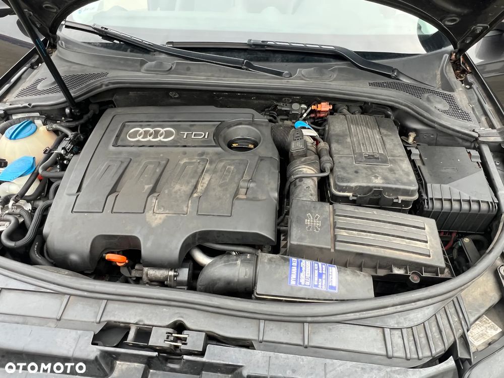 Audi A3 3-drzwiowe 1.6 TDI 99g DPF - 10