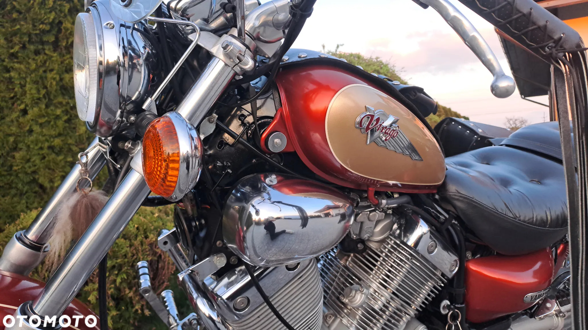 Yamaha Virago - 33