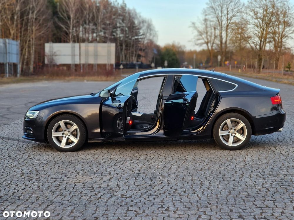 Audi A5 Sportback 2.0 TDI (clean diesel) DPF multitronic - 15