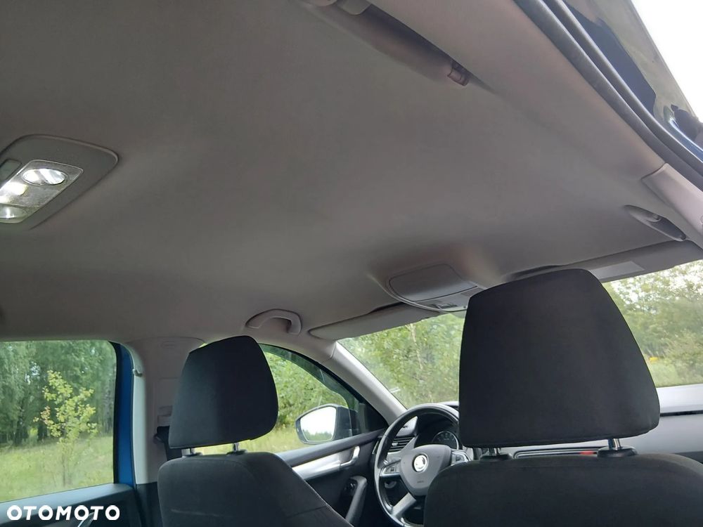 Skoda Octavia 1.6 TDI Greenline - 12