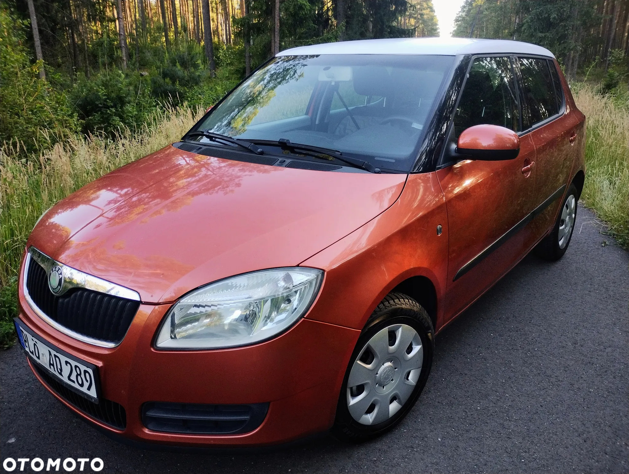 Skoda Fabia - 20