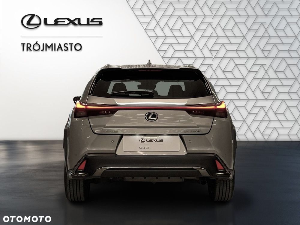 Lexus UX 250h GPF F Sport Edition 2WD - 7
