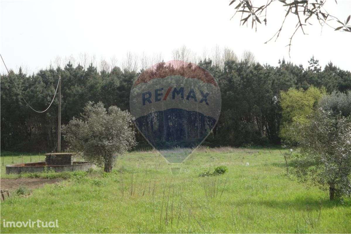 Terreno  para venda - Grande imagem: 3/4