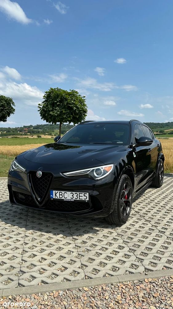 Alfa Romeo Stelvio V6 2.9 Bi-Turbo AT8-Q4 Quadrifoglio - 14