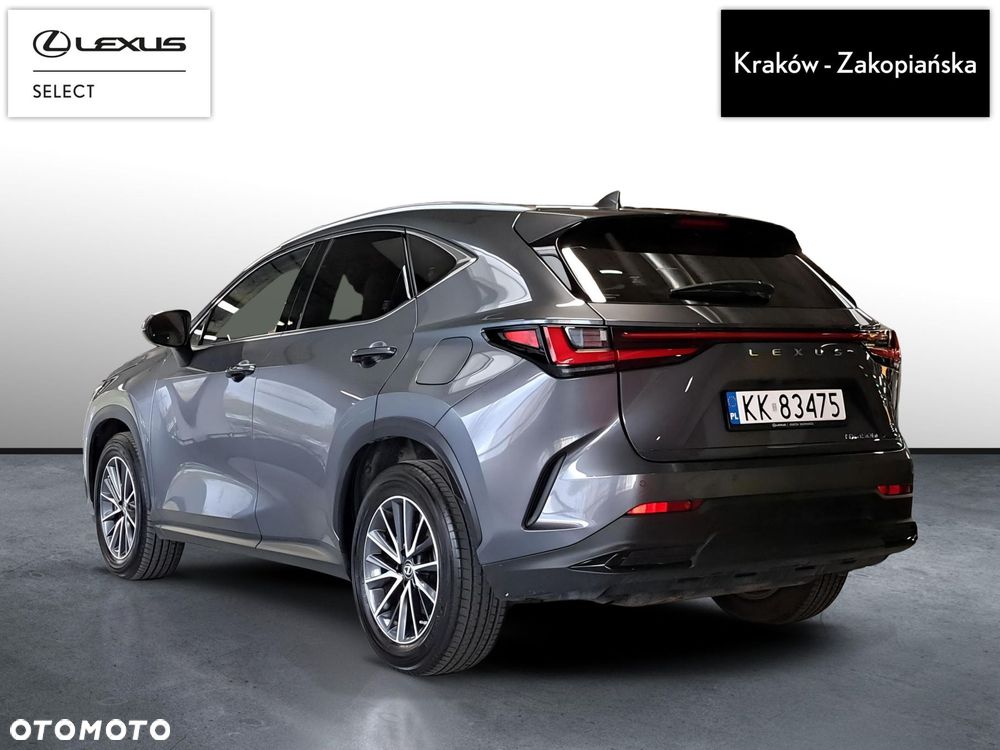 Lexus NX - 4