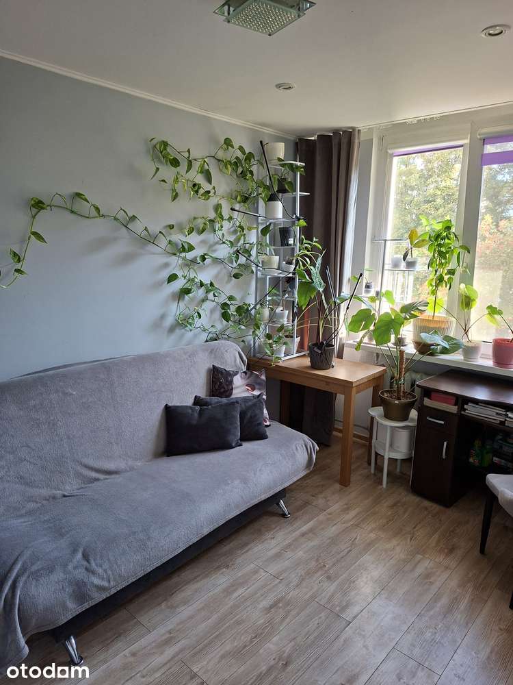 Mieszkanie 2-pokojowe z balkonem Targówek / Bródno