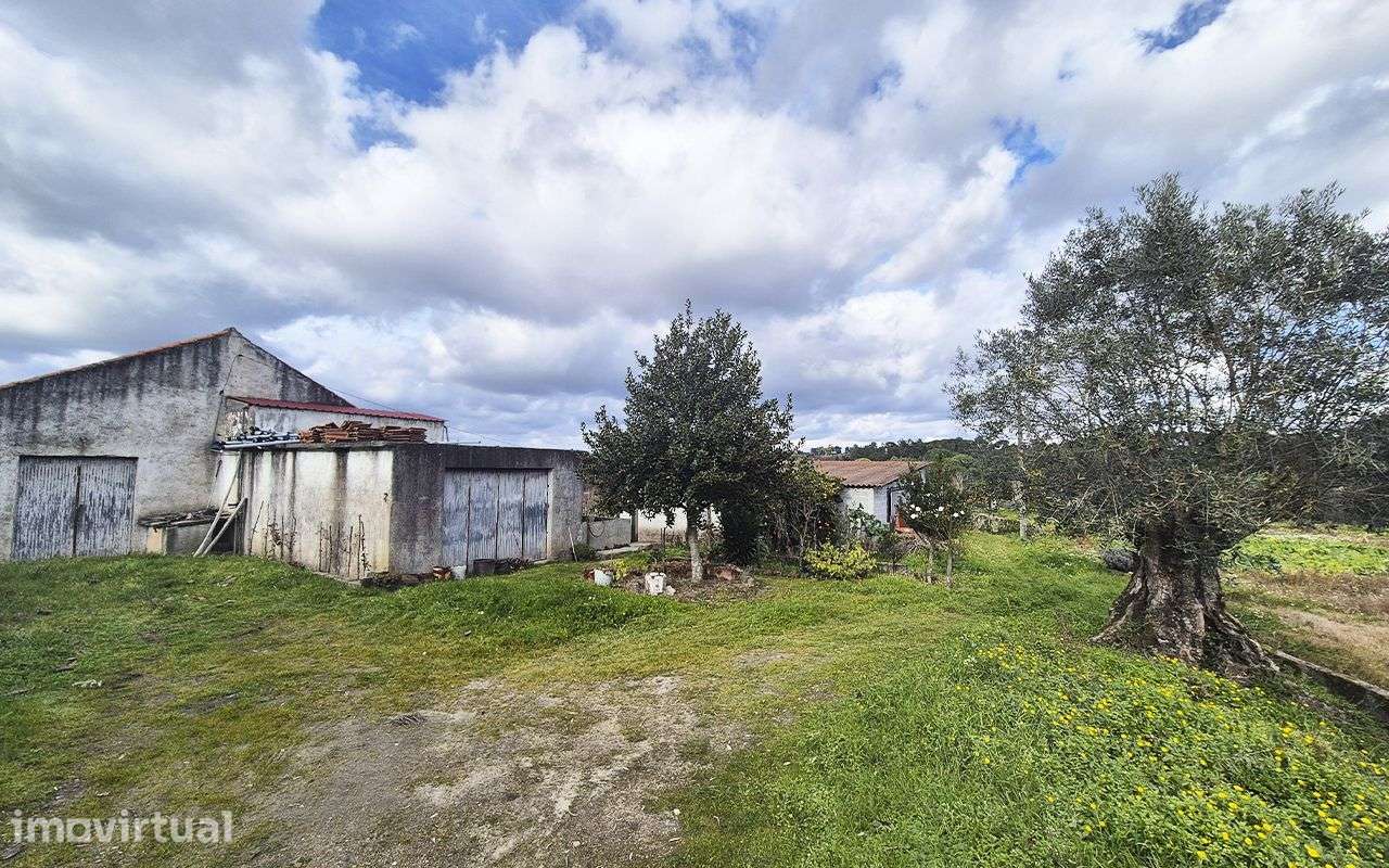 Oportunidade Única, Quinta em Paranhos - Seia - Grande imagem: 2/11