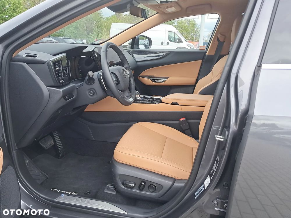 Lexus NX - 10