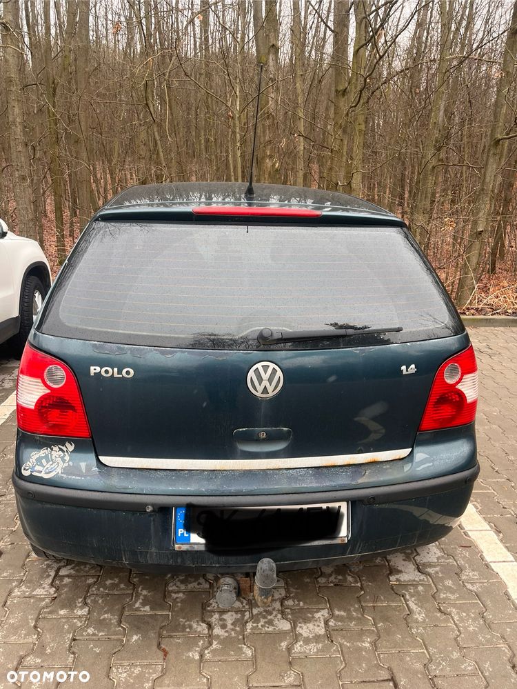 Volkswagen Polo - 7