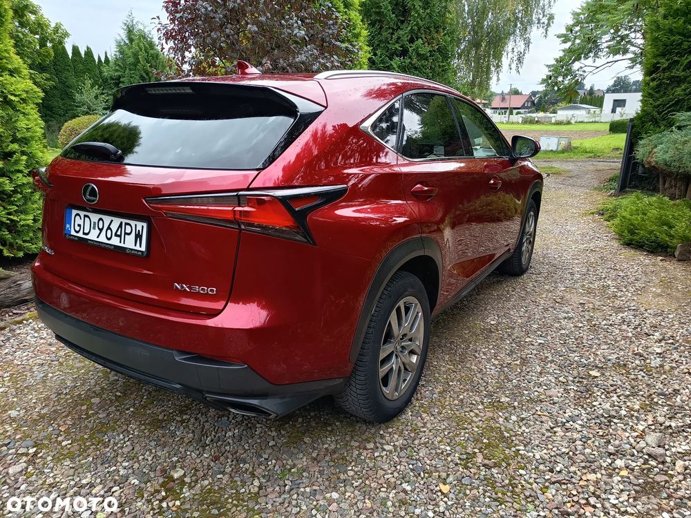 Lexus NX 300 Comfort AWD - 5