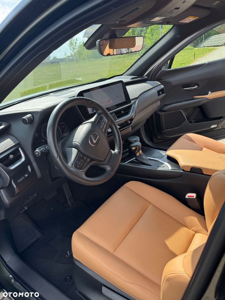 Lexus UX 250h F Sport 2WD - 13