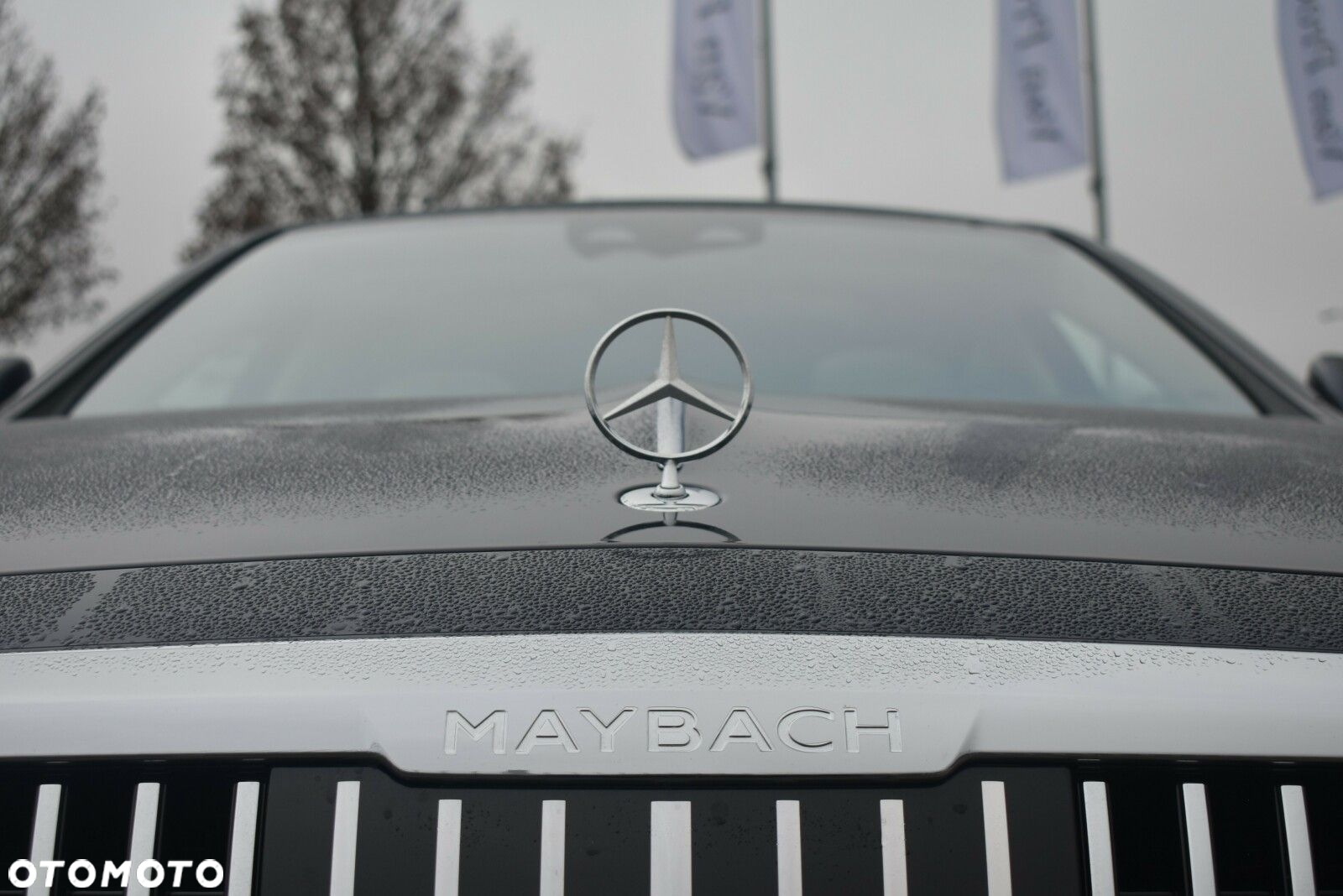 Mercedes-Benz Inny - 22