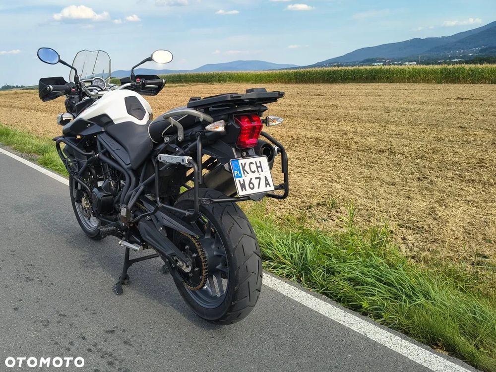 Triumph Tiger - 24