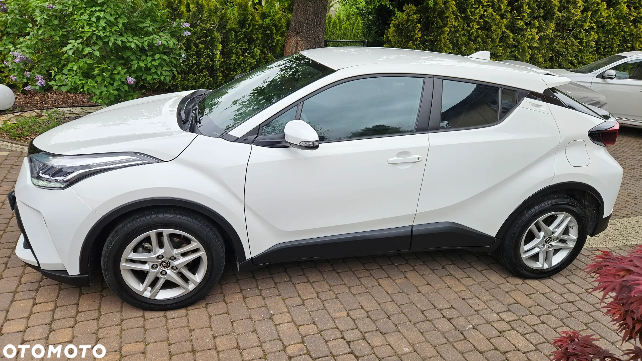 Toyota C-HR - 5