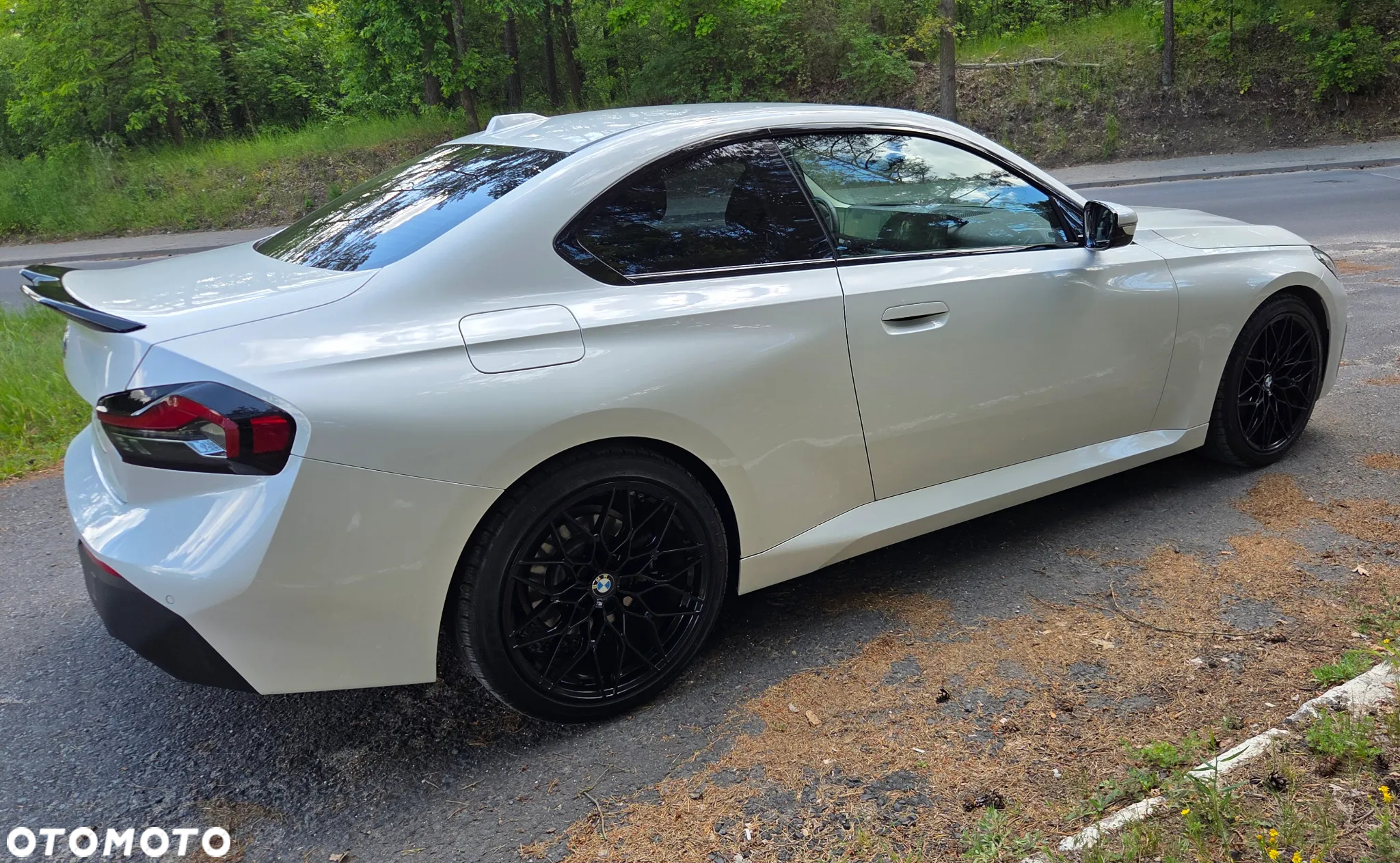 BMW Seria 2 220i Coupe Advantage - 13