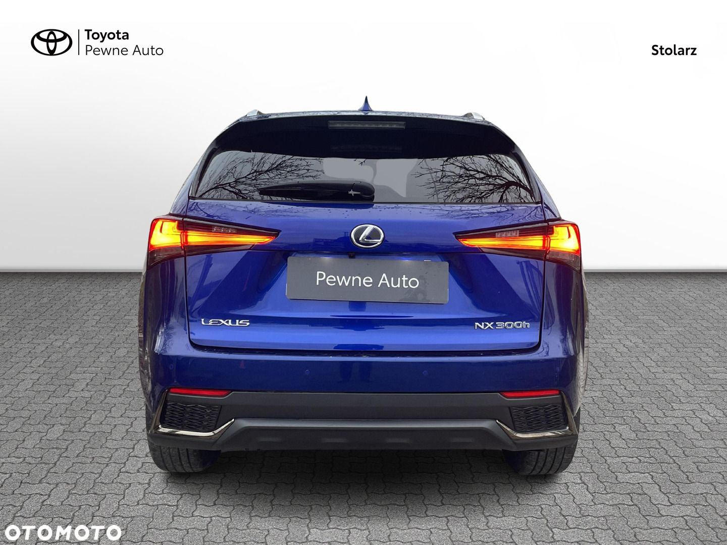 Lexus NX - 6