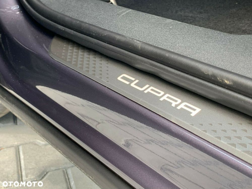 Cupra Terramar - 38