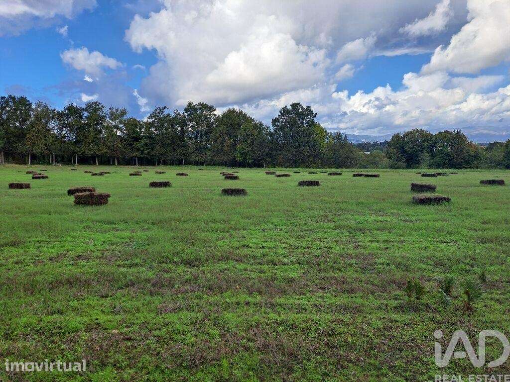 Terreno em Palmeira de 36000,00 m2 - Grande imagem: 2/21