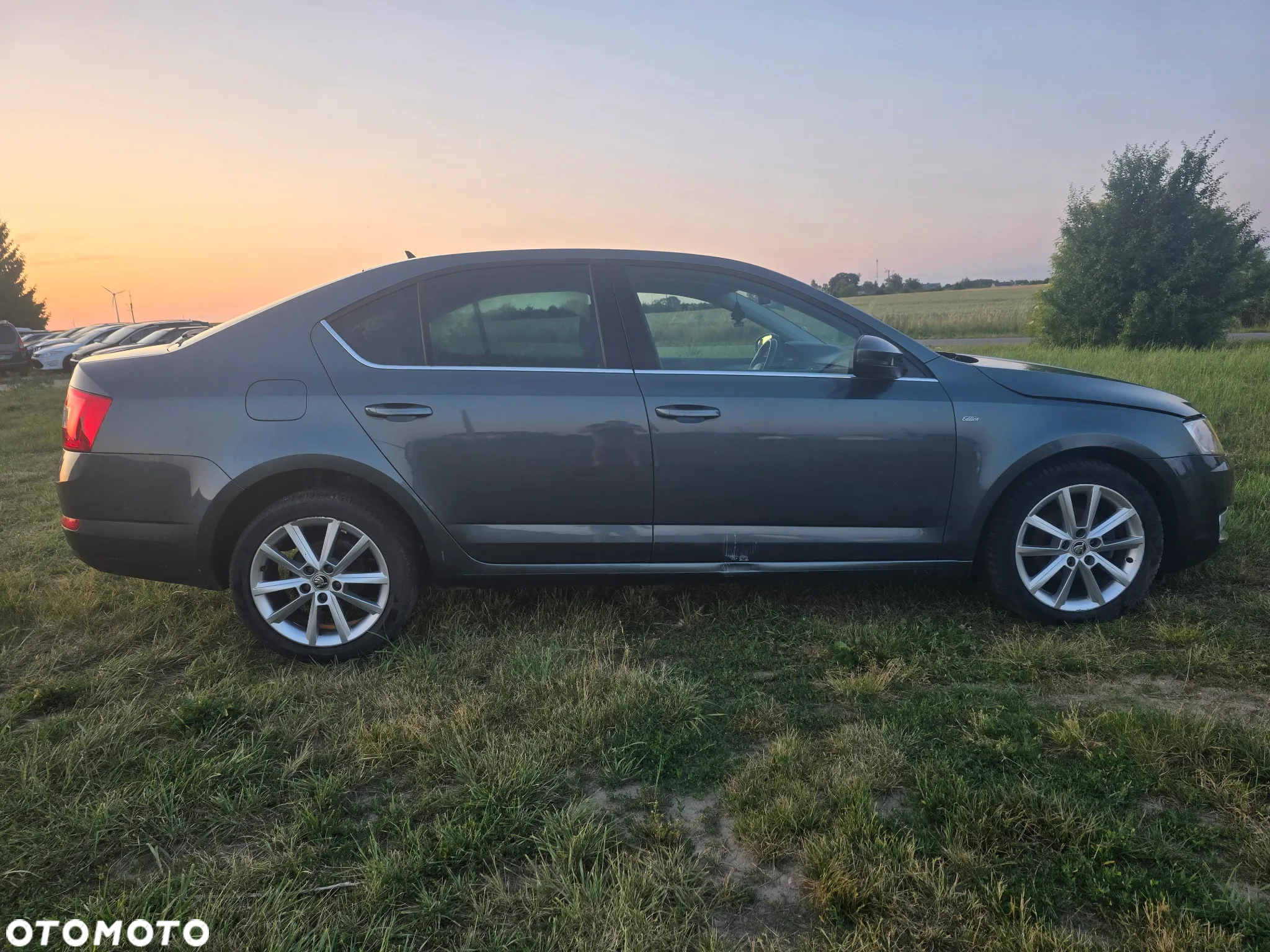 Skoda Octavia 1.6 TDI Edition - 2
