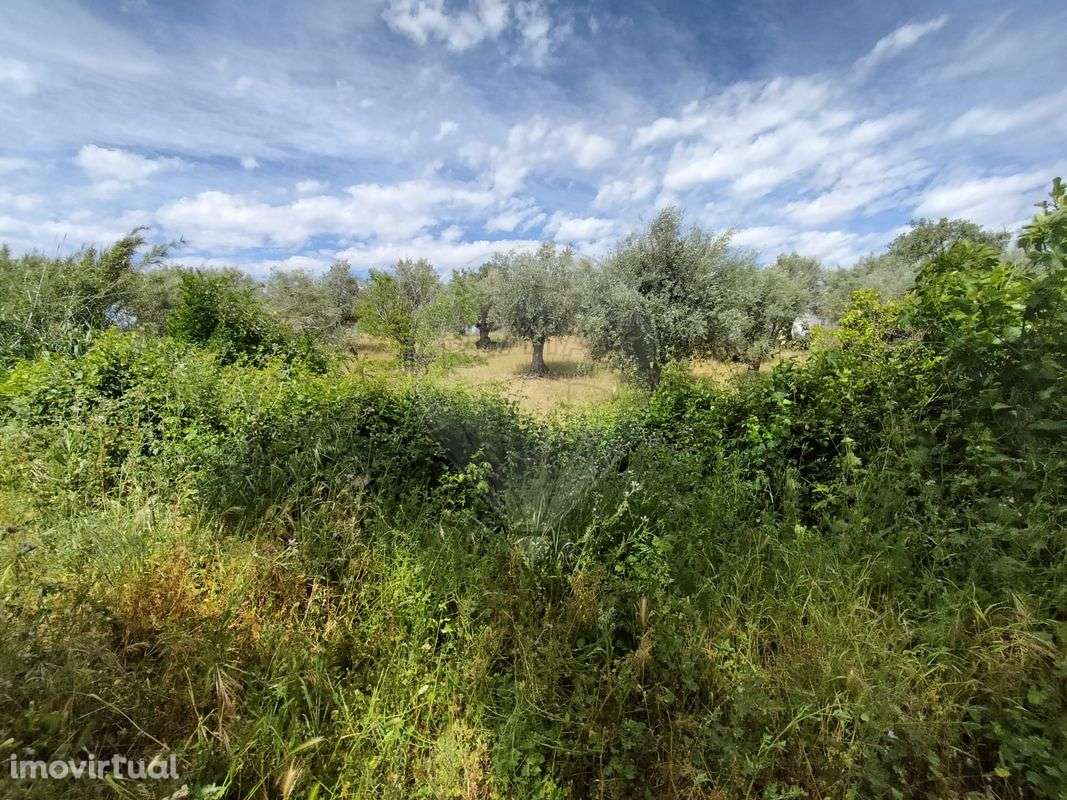 Quinta T2 para venda - Grande imagem: 3/21