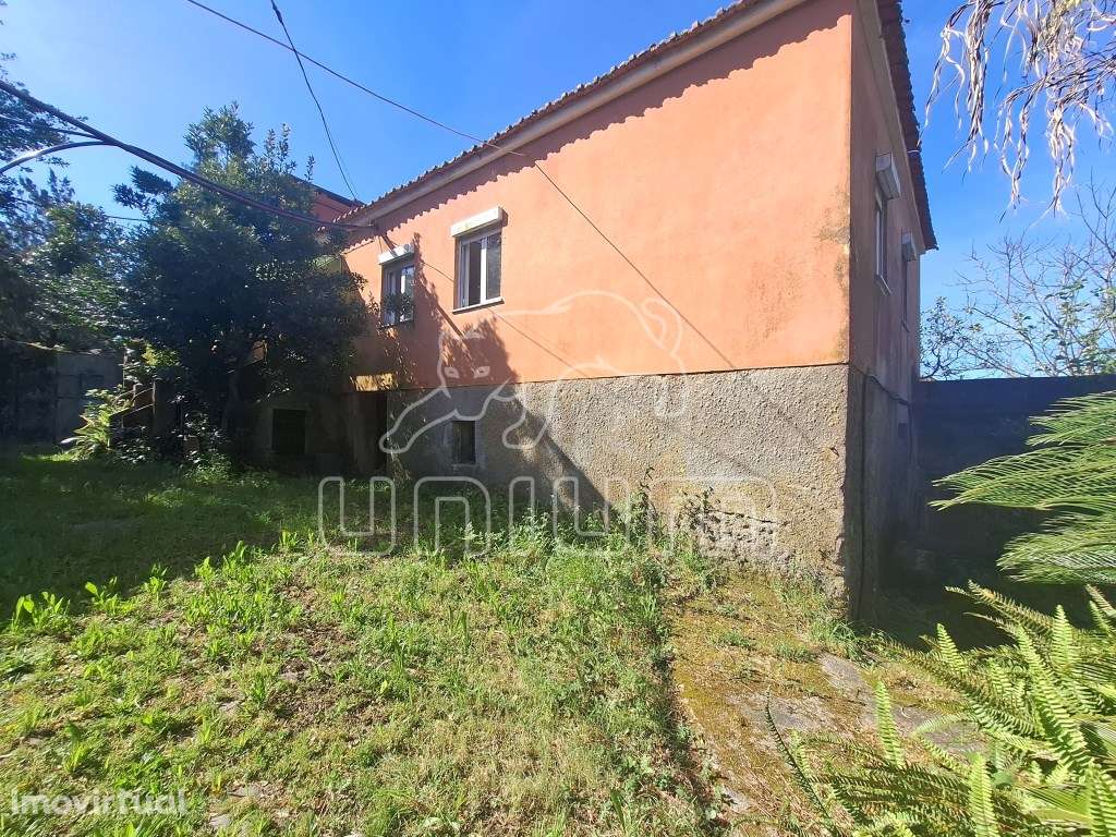 Quintinha para recuperar em Perre - Grande imagem: 3/31