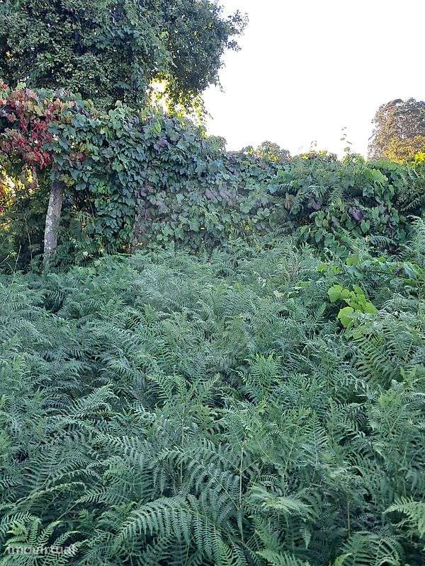 Terreno  para venda - Grande imagem: 4/7