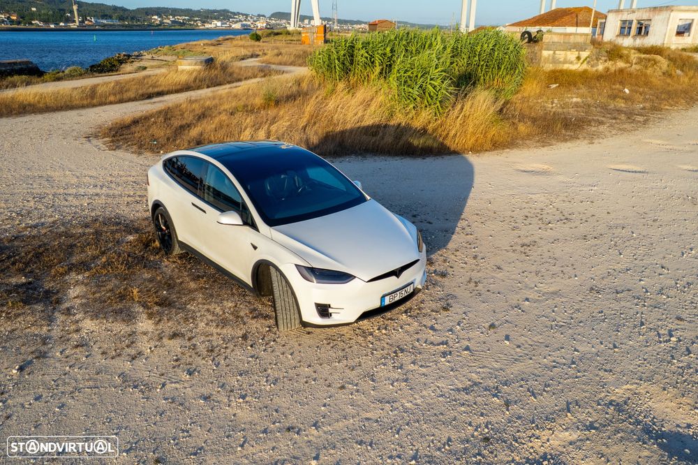 Tesla Model X P100D - 58