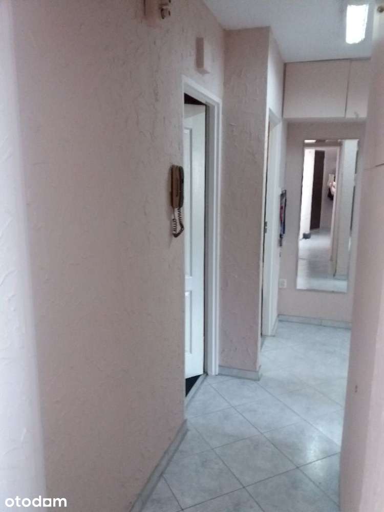 Mieszkanie 3 pokoje najlepsze I piętro, niski blok, balkon, piwnica